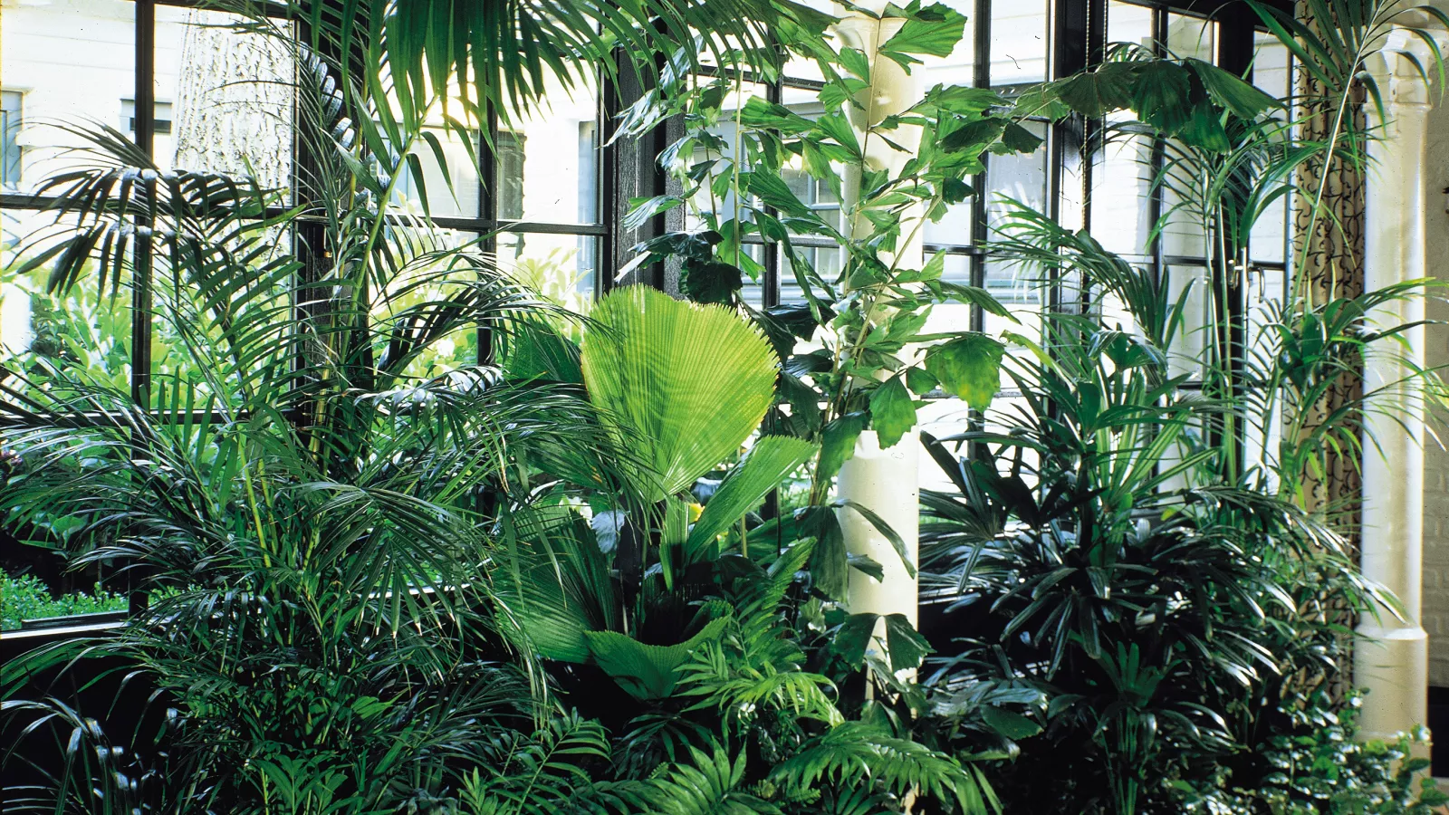 The hydroponics agricultural system