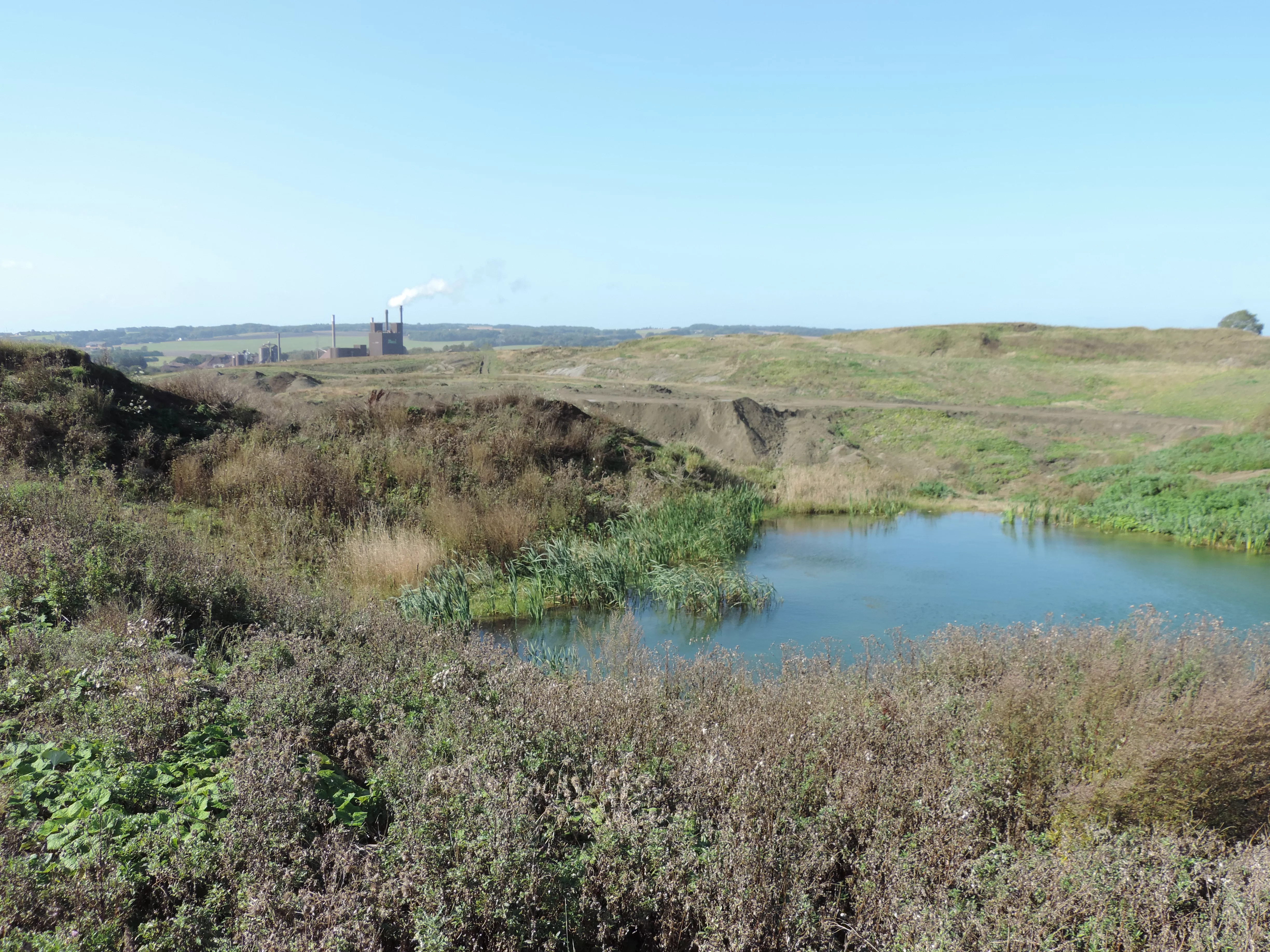 Clay Pit in Denmark